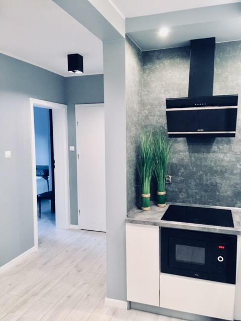 Apartament Sonia Karpacz Extérieur photo